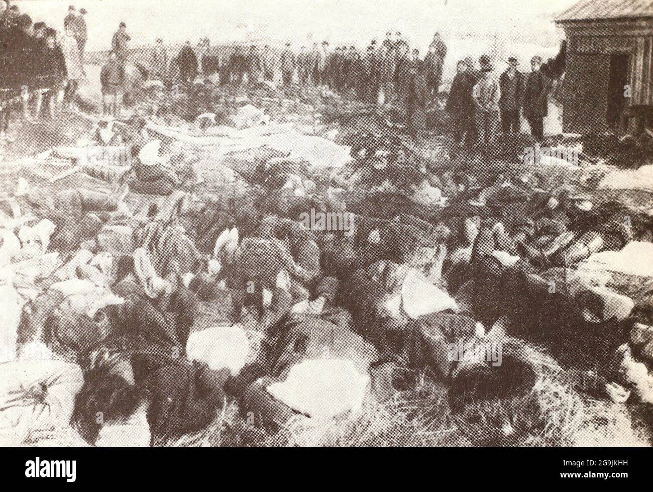 Opfer der Lena-Hinrichtung 1912. Stockfoto