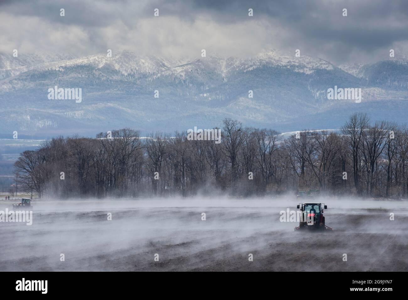 Traktor sät ein Feld, während es vom warmen Boden verdampft, UNESCO-Weltkulturerbe Shiretoko National Park, Hokkaido, Japan Stockfoto