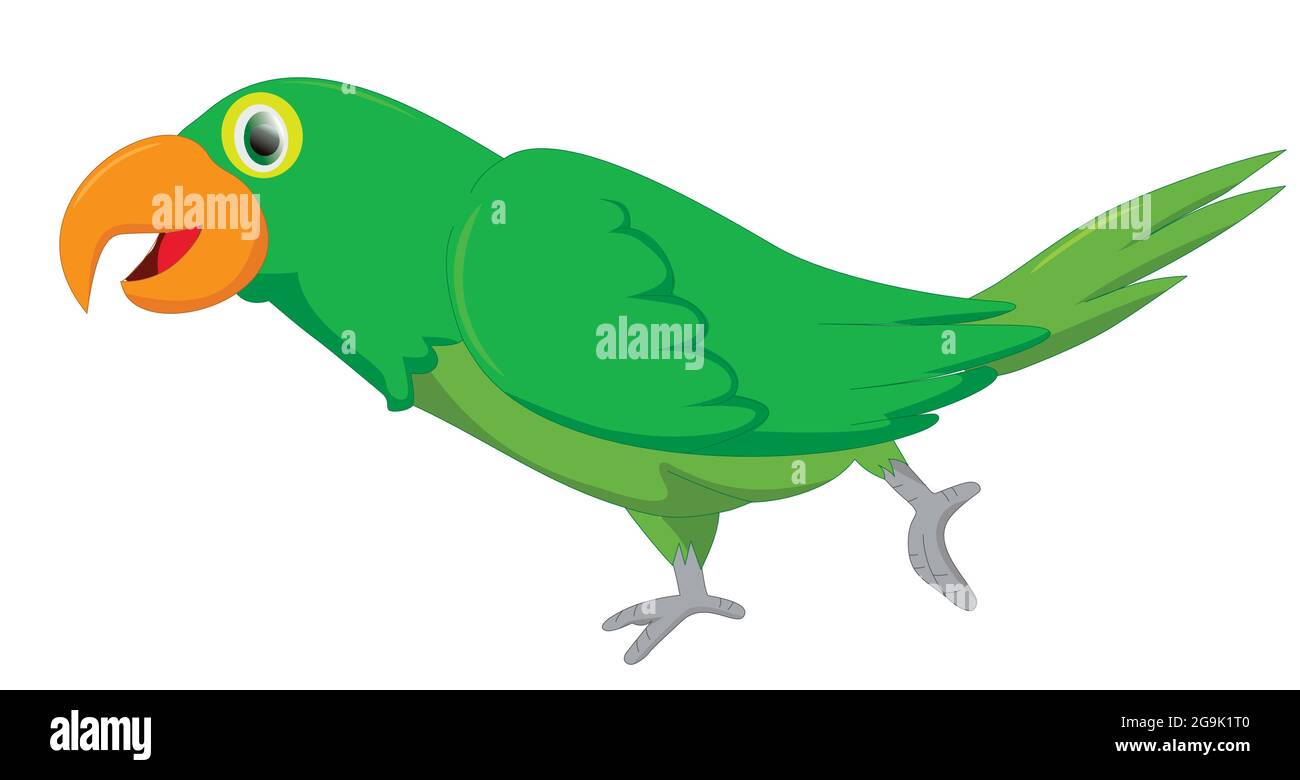 Niedlicher Papagei – Hochauflösende Vektorgrafik – Getty Images Stock Vektor