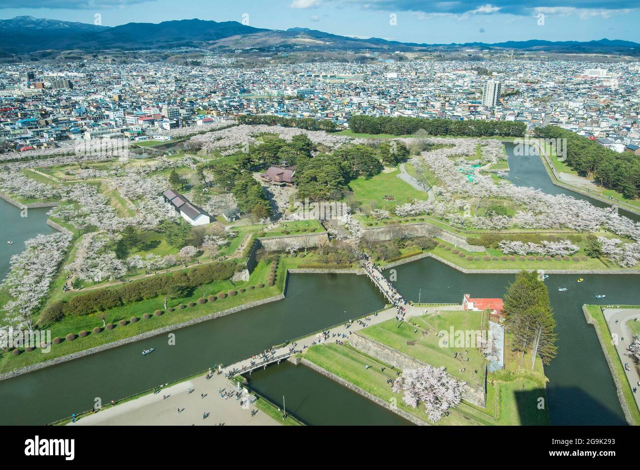 Sternförmige Festung Goryokaku in der Kirschblüte, Hakodate, Hokkaido, Japan Stockfoto