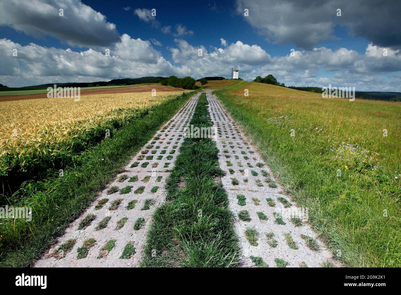 Kolonnenweg, Wanderweg durch Wiesen und Felder, Lochplattenweg, Aussichtsturm der DDR-Grenztruppen, Grenzwachturm, Gruenes Band Stockfoto