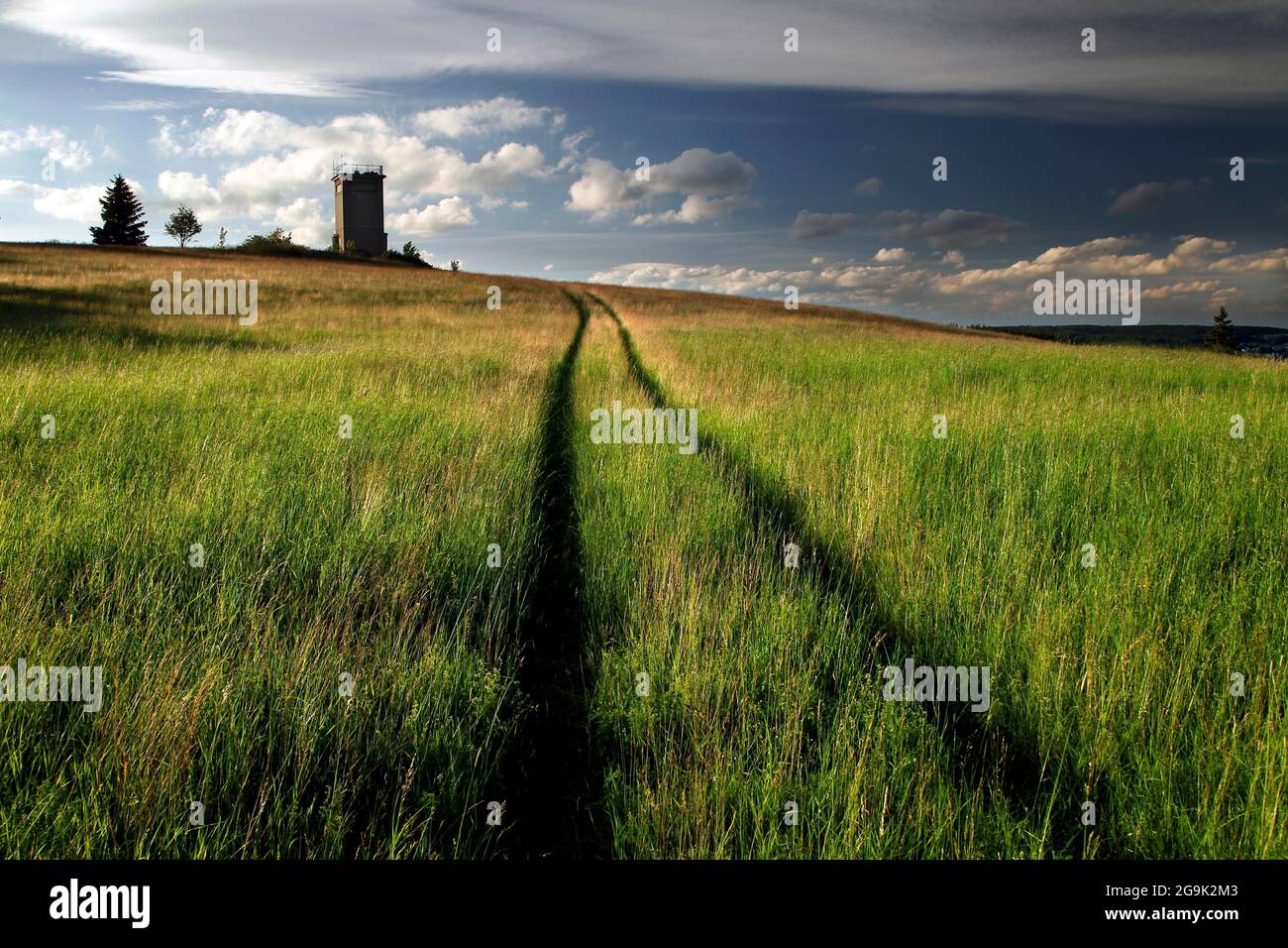 Kolonnenweg, Wanderweg durch Wiesen und Felder, Lochplattenweg, Aussichtsturm der DDR-Grenztruppen, Grenzwachturm, Gruenes Band Stockfoto