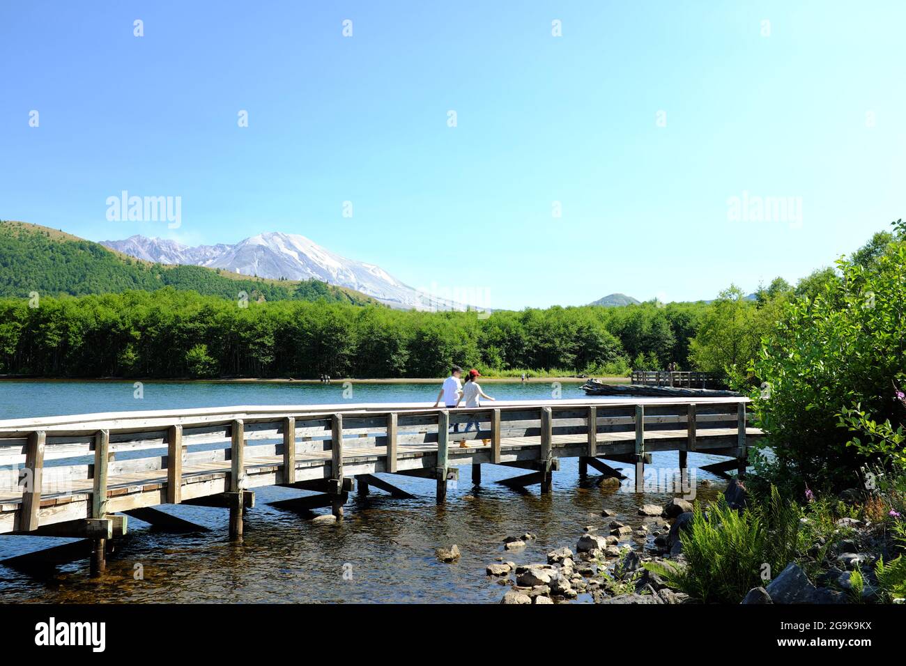 Auf dem Coldwater Lake im Bundesstaat Washington wandern die Menschen entlang des Interpretationsweges. Mt. St. Helens ist im Hintergrund. Stockfoto