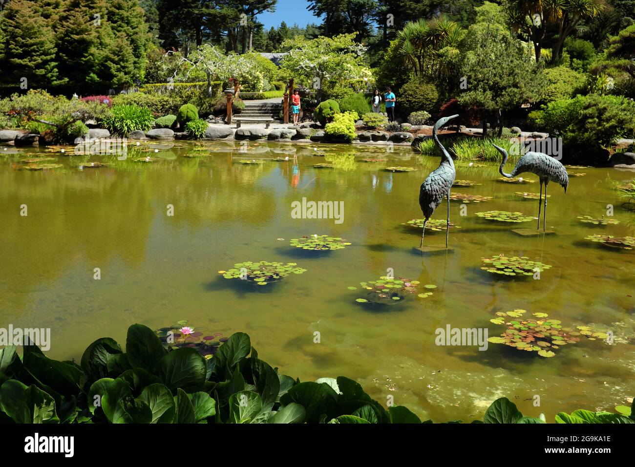 Der kleine Teich in den botanischen Gärten des Shore Acres State Park in Oregon, USA. Stockfoto