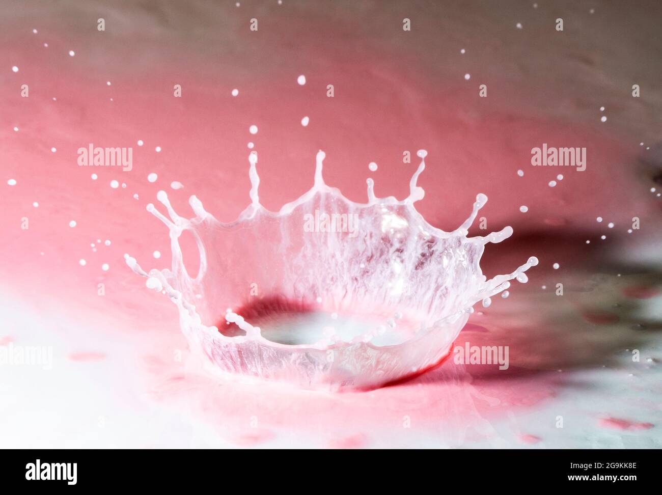 Wassertropfen-Krone spritzt auf rosa Joghurt Stockfoto