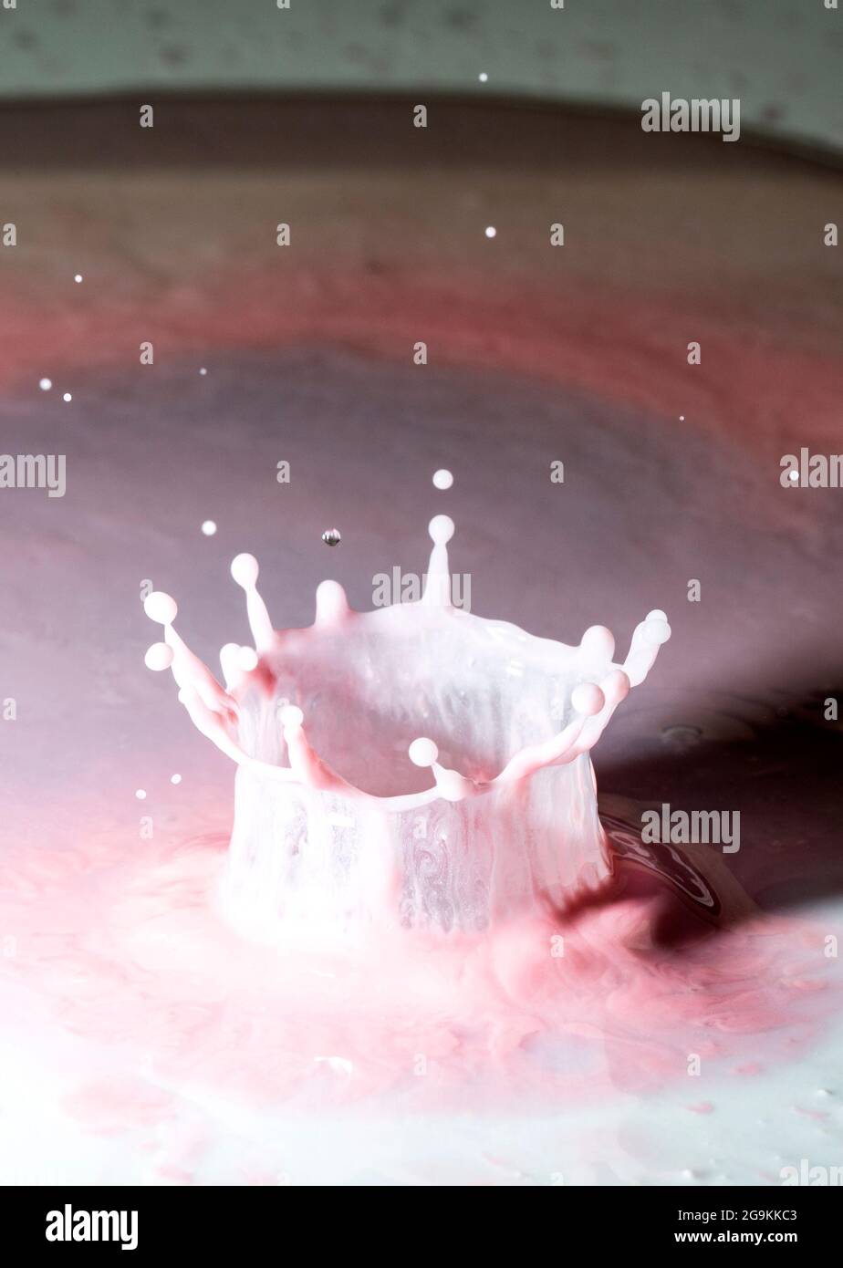Wassertropfen-Krone spritzt auf rosa Joghurt Stockfoto