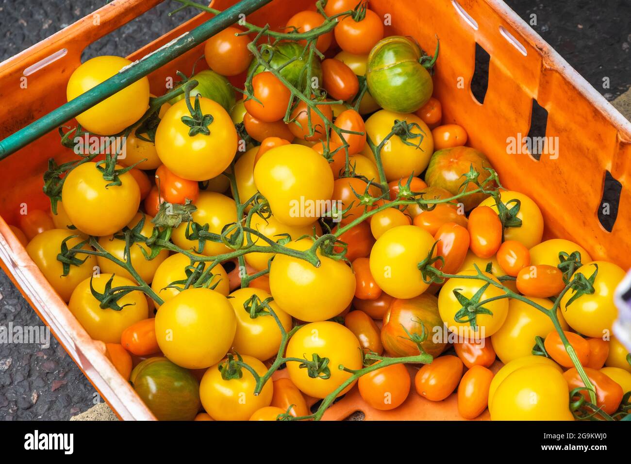Verschiedene Tomaten werden auf dem Broadway Market, einem Straßenmarkt in Hackney, East London, ausgestellt Stockfoto