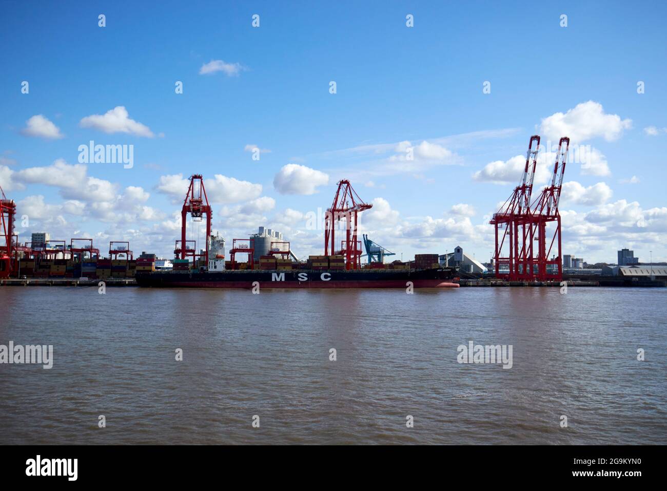 Krane am liverpool 2 Containerterminal freeport liverpool england großbritannien Stockfoto