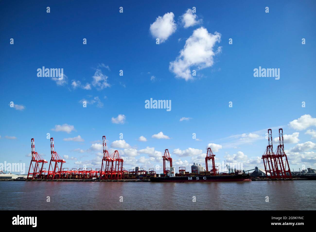 Krane am liverpool 2 Containerterminal freeport liverpool england großbritannien Stockfoto