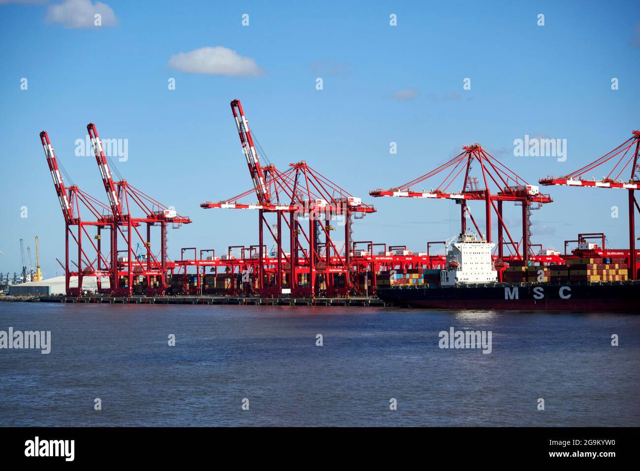Krane am liverpool 2 Containerterminal freeport liverpool england großbritannien Stockfoto