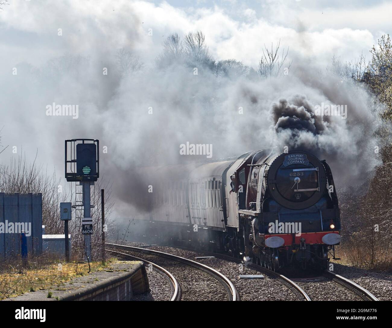 Erhaltene Dampflokomotive Herzogin von Hamilton, auf dem Hauptbahnnetz mit einem speziellen Personenzug in Pontefract, West Yorkshire, Großbritannien Stockfoto