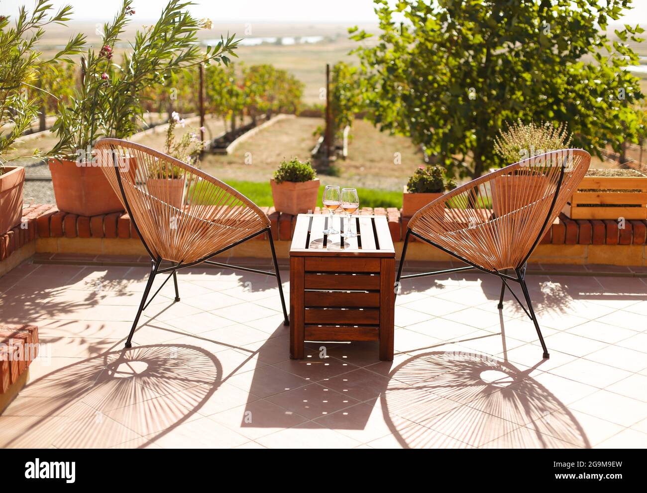 Zwei Gläser Weißwein auf rustikalem Holztisch und Blumentöpfe auf der Terrasse draußen mit Weinberglandschaft am sonnigen Morgen des Tages im Sommer Stockfoto