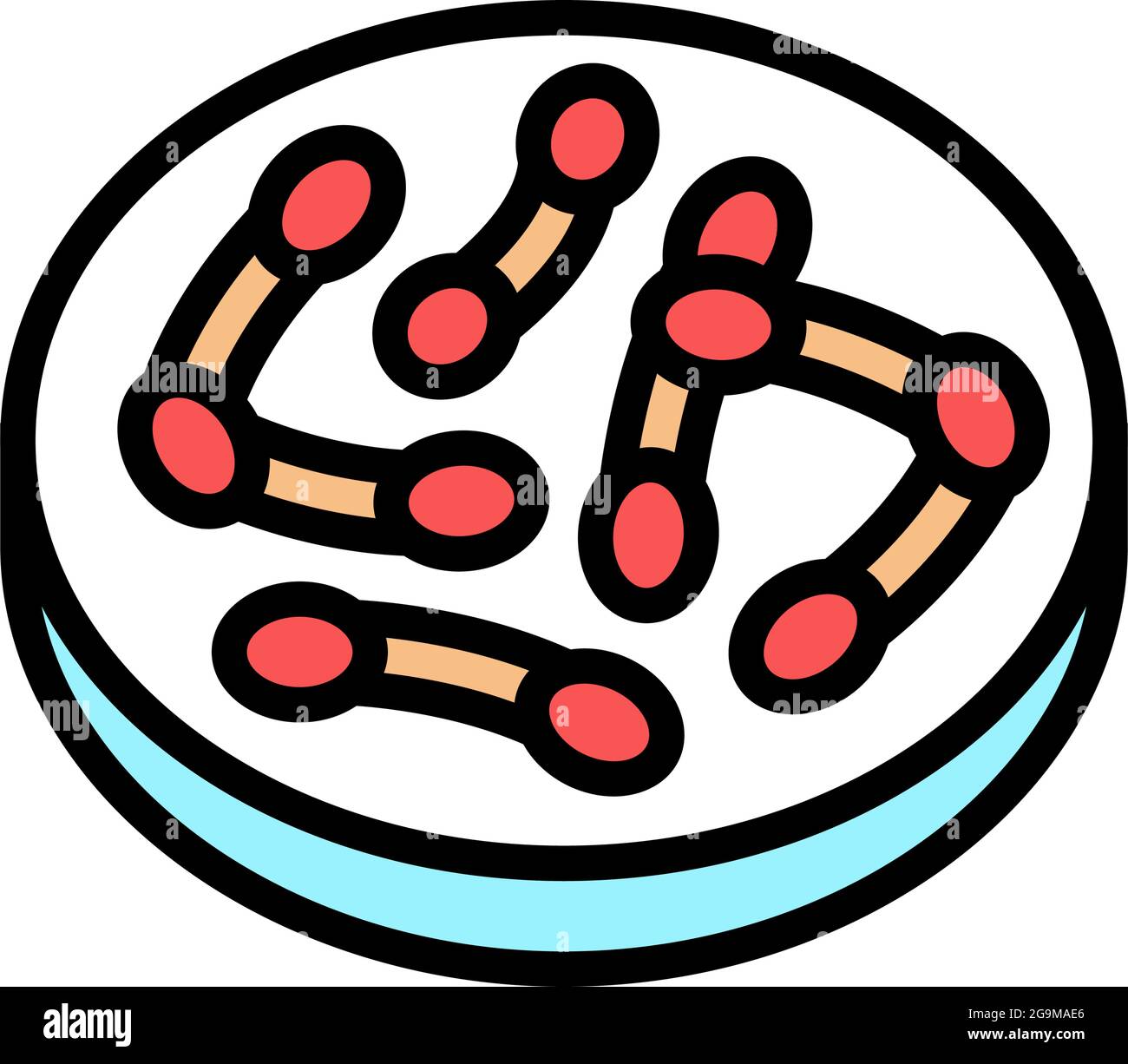 Bakterien corynebacterium diphtheriae Farbe Symbol Vektor Illustration Stock Vektor