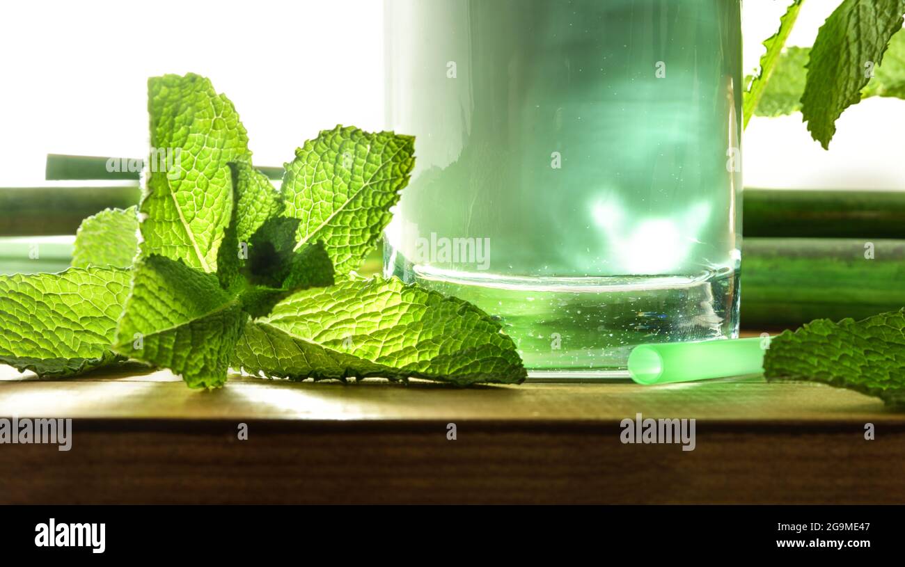 Detail von Milchgetränk mit Minze auf Holztisch mit Minzblättern und Bambusstöcken. Vorderansicht. Stockfoto