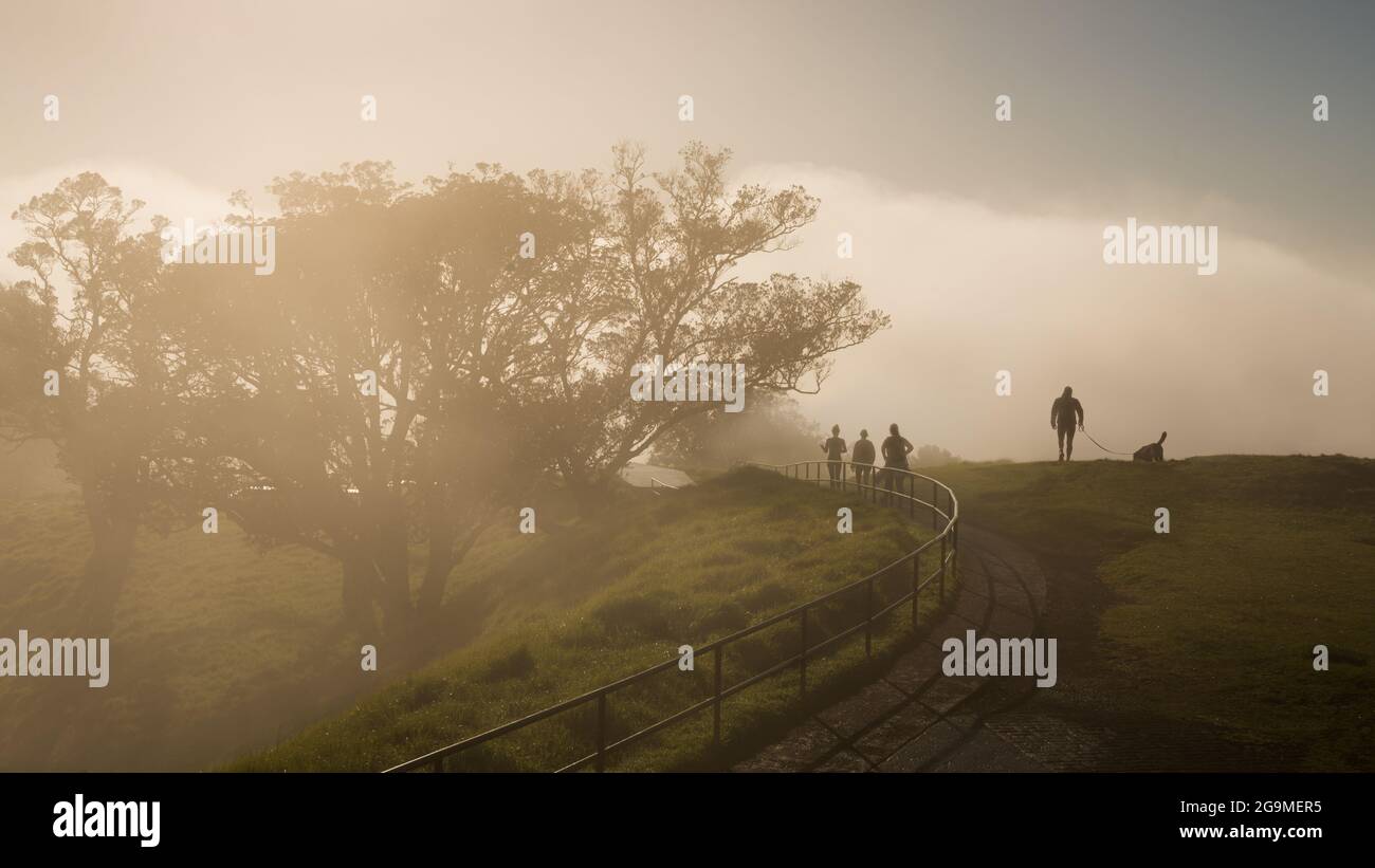 Schwerer Nebel über dem Gipfel des Mount Eden mit Silhouette People and Dog Walking, Auckland Stockfoto
