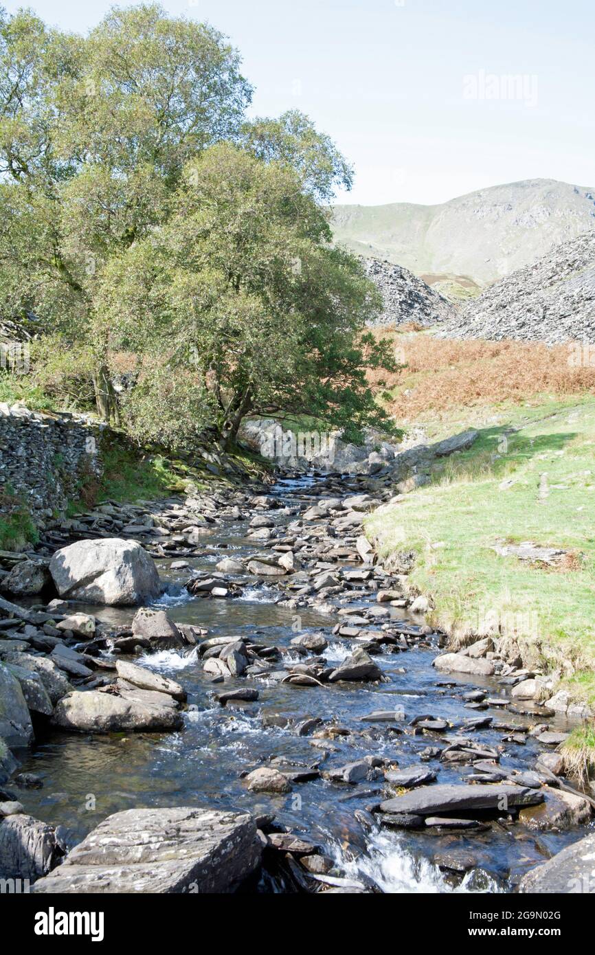 Torver Beck in der Nähe von Torver High Common Coniston, Lake District Cumbria England Stockfoto