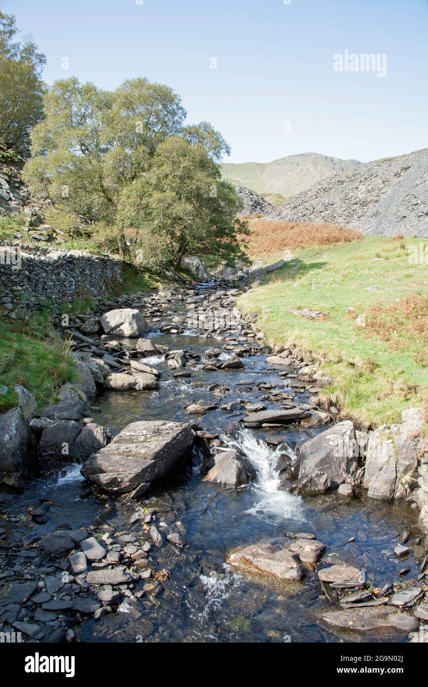 Torver Beck in der Nähe von Torver High Common Coniston, Lake District Cumbria England Stockfoto
