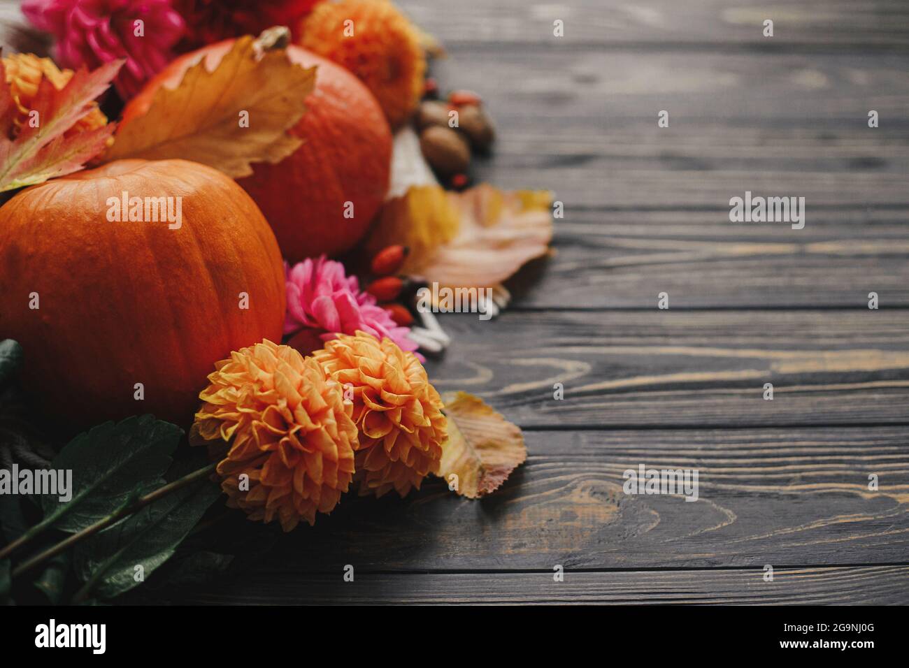 Schöne Herbstkomposition mit Platz für Text. Kürbisse, Herbstblumen, Beeren, Blätter und Walnüsse auf Decke auf rustikalem Holz. Frohe Thanksgiving Stockfoto