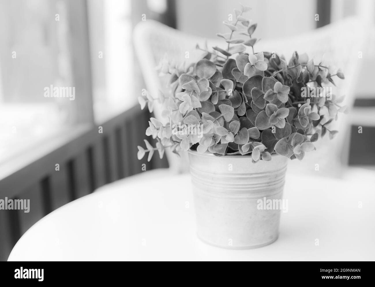 Arfificial Blume in der Nähe des Fensters dekoriert, in schwarz und weiß verarbeitet Stockfoto
