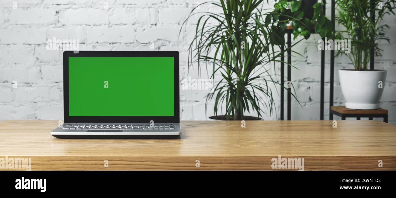 Laptop mit leerem Bildschirm auf dem Tisch im modernen Büro mit grünen Pflanzen. Mockup Banner Stockfoto
