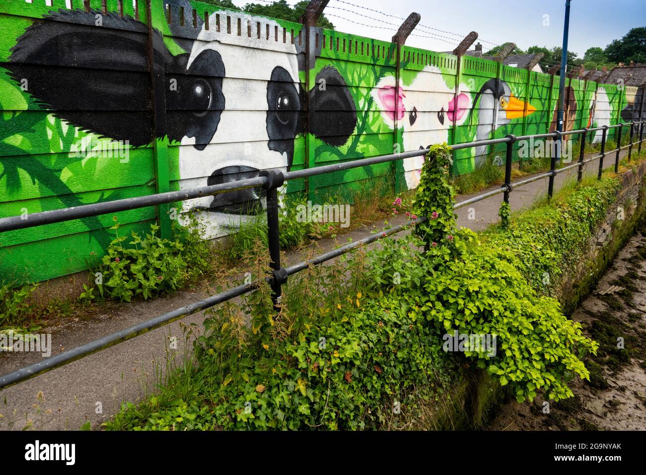 Großbritannien, Wales, Ceredigion, Cardigan, gesprühte Wandmalerei auf dem ehemaligen Viehmarkt am Fluss Teifi Stockfoto