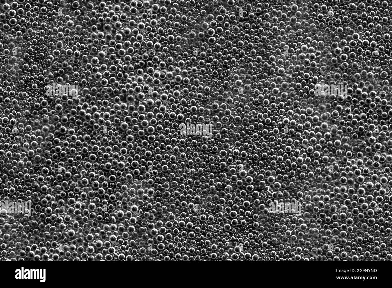 Textur von Wasserblasen auf schwarzem Hintergrund. Weichfokus Stockfoto