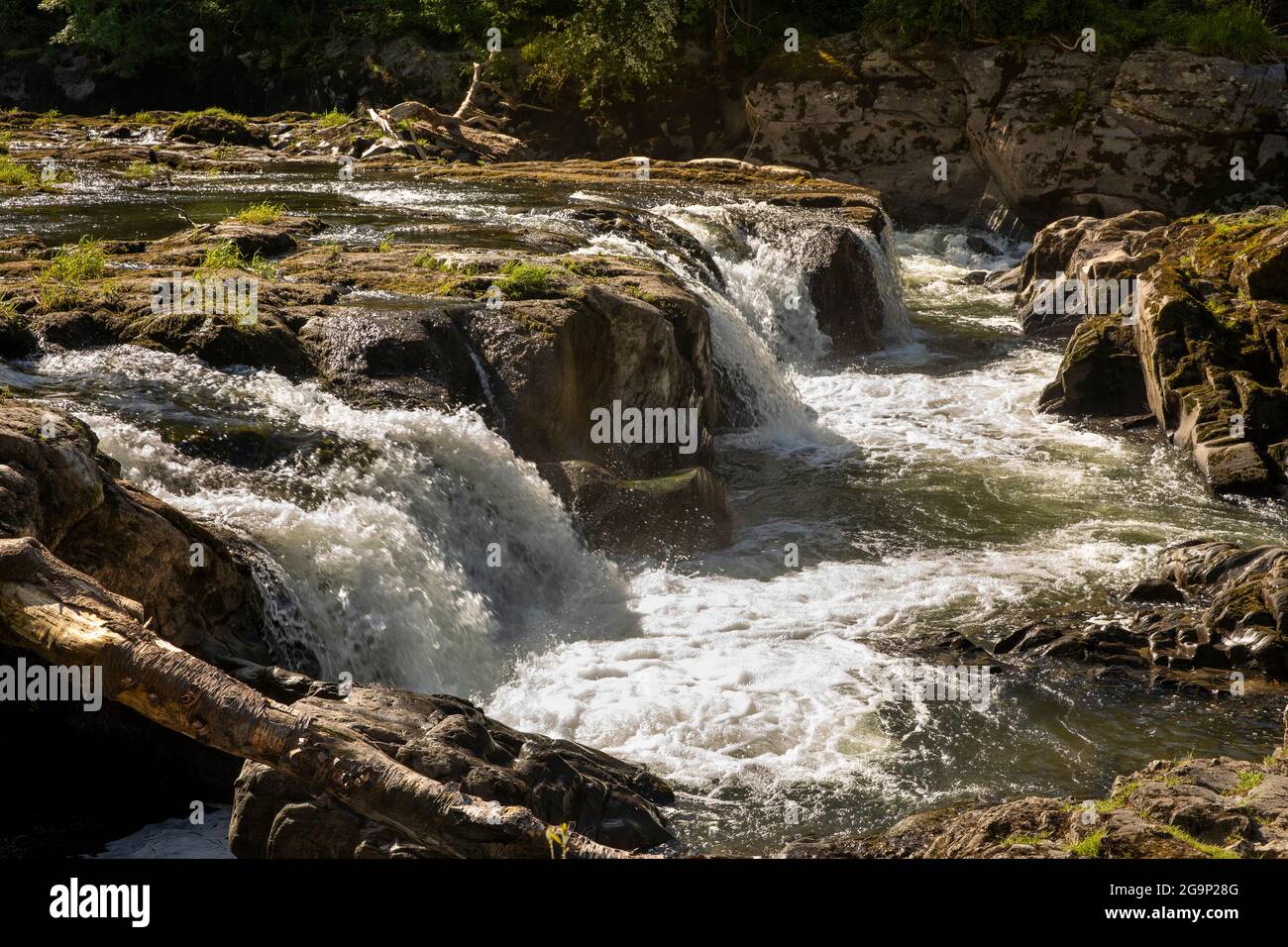 Großbritannien, Wales, Ceredigion, Cenarth, fällt auf den Fluss Teifi Stockfoto