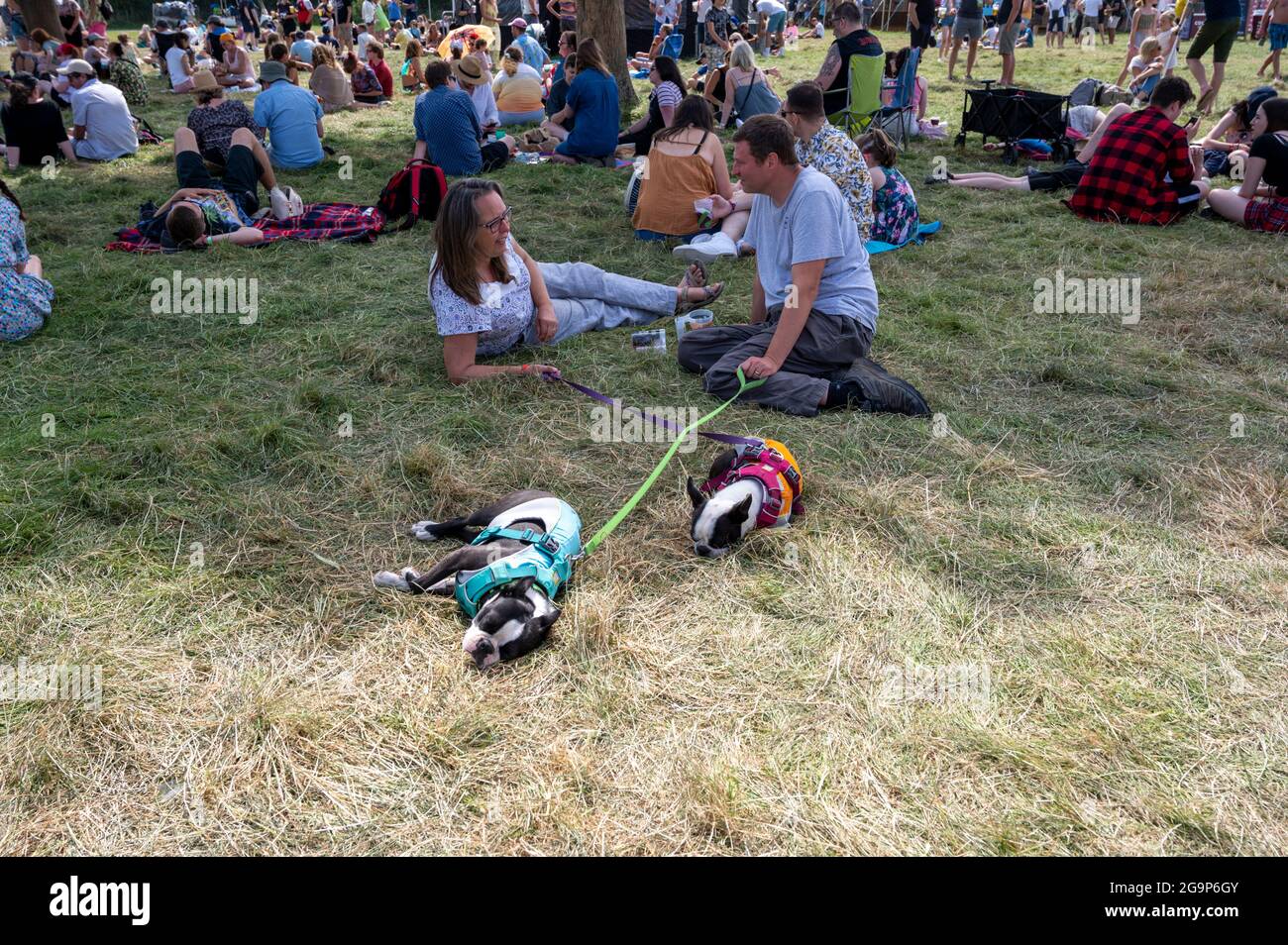 Musikfans beim Standon Calling Music Festival 2021 Hertfordshire UK Stockfoto