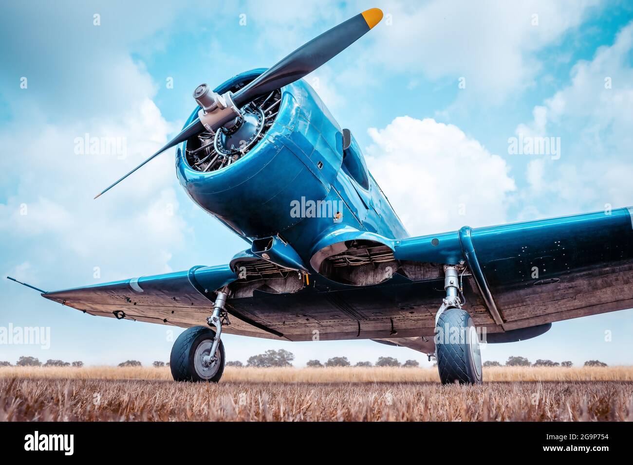 Historische Flugzeuge auf einer Wiese Stockfoto