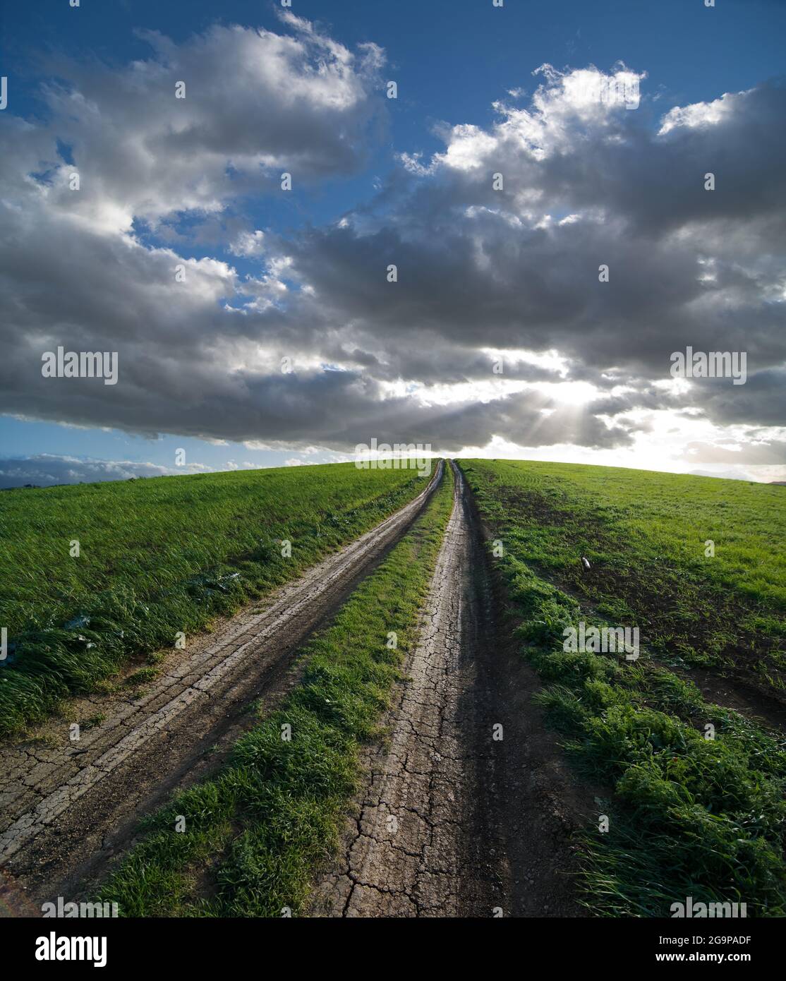 Gerissene und getrocknete Bergwege zeigen den Weg, der in eine leuchtend grüne Zukunft führt Stockfoto