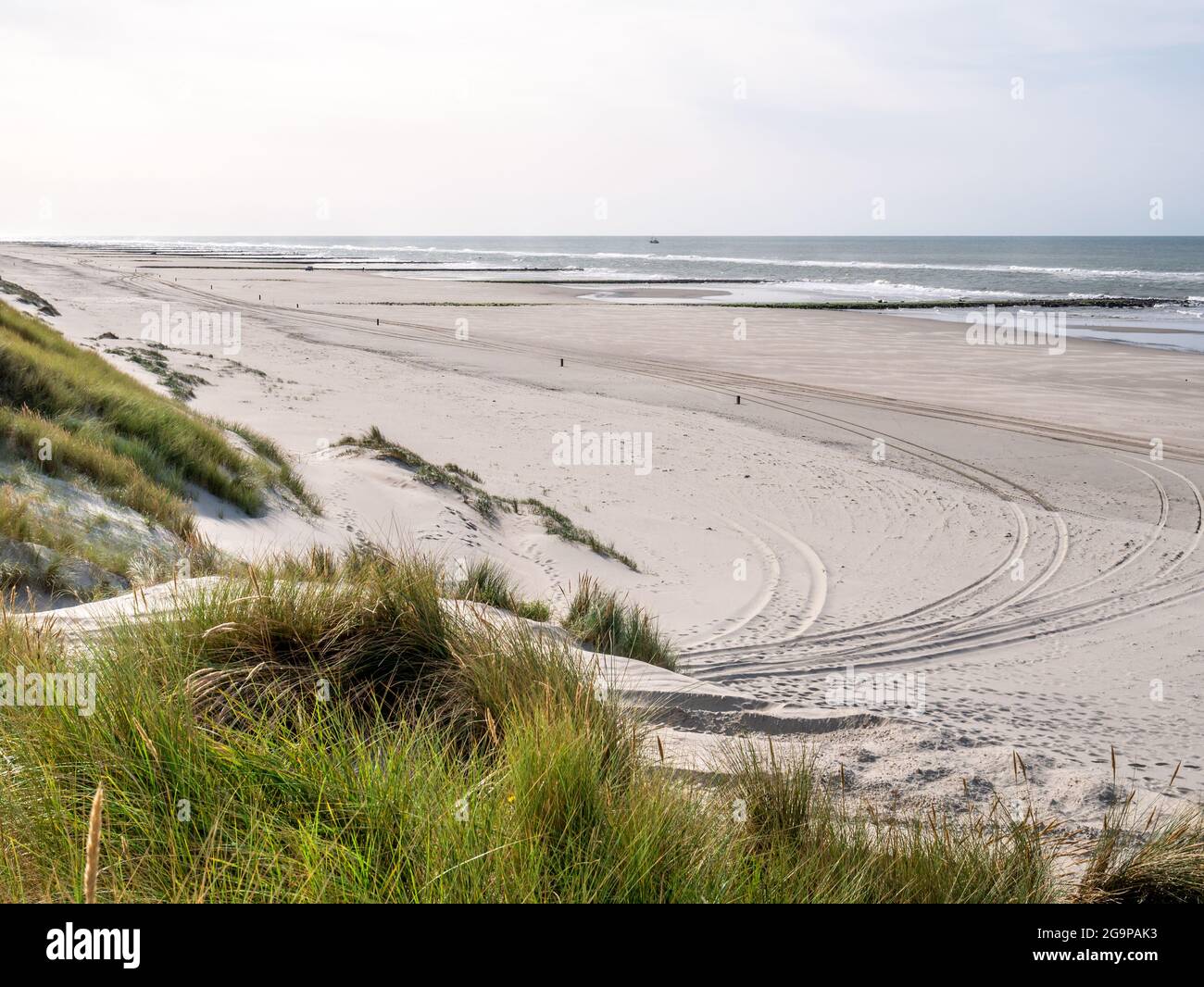 Strand mit Reifenpfaden und Dünen an der Nordseeküste der westfriesischen Insel Vlieland, Friesland, Niederlande Stockfoto