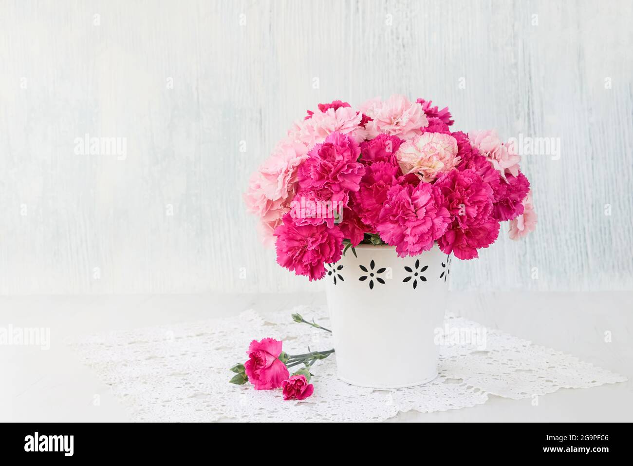 Rosa Nelkenblüten Bouquet in weißer Vase auf blauem Hintergrund. Feiertagshintergrund, Speicherplatz kopieren. Valentinstag, Muttertag, Geburtstagskonzept. Kopie sp Stockfoto