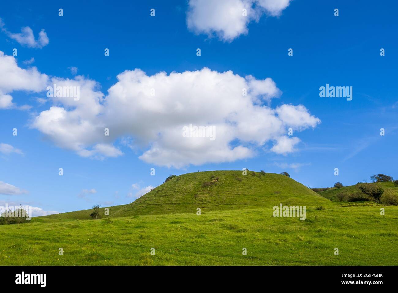 Die Westseite des Wolstonbury Hill im South Downs National Park in der Grafschaft Sussex UK an einem sonnigen Tag mit Cumuluswolken über dem Hügel. Stockfoto