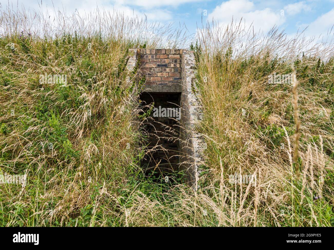 Kriegsverteidigungsrelikt aus dem Zweiten Weltkrieg überwuchert von der Erdbank bei RAF Mammerry, East Lothian, Schottland, Großbritannien Stockfoto