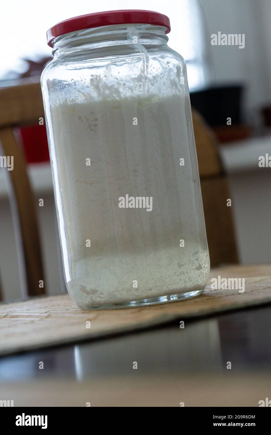 Hausgemachte Milch Kefir und Kefir Körner in der Flasche Glas  Stockfotografie - Alamy