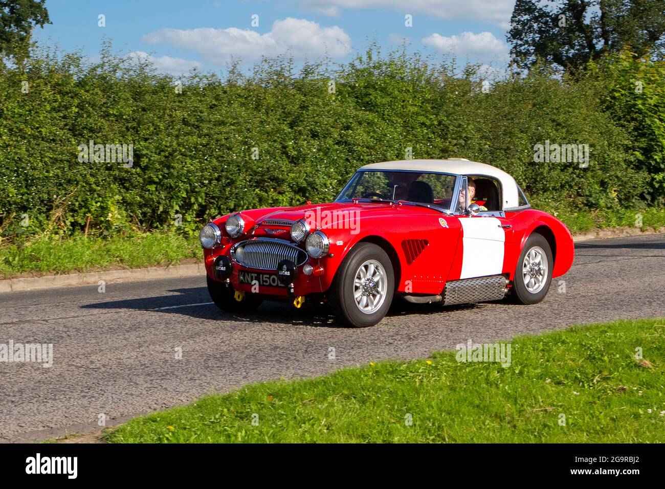 1966, 60s rot weiß Austin Healey 2912cc Benziner auf dem Weg zur Capesthorne Hall classic July Car Show, Cheshire, UK Stockfoto