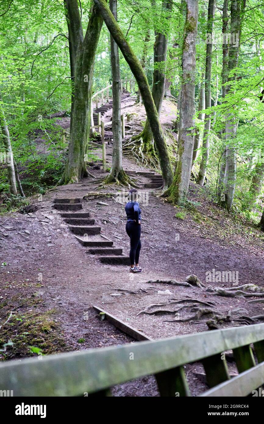 Eine schwarze Frau, die auf einer Wanderung im Wald lange Stufen hinaufgeht Stockfoto