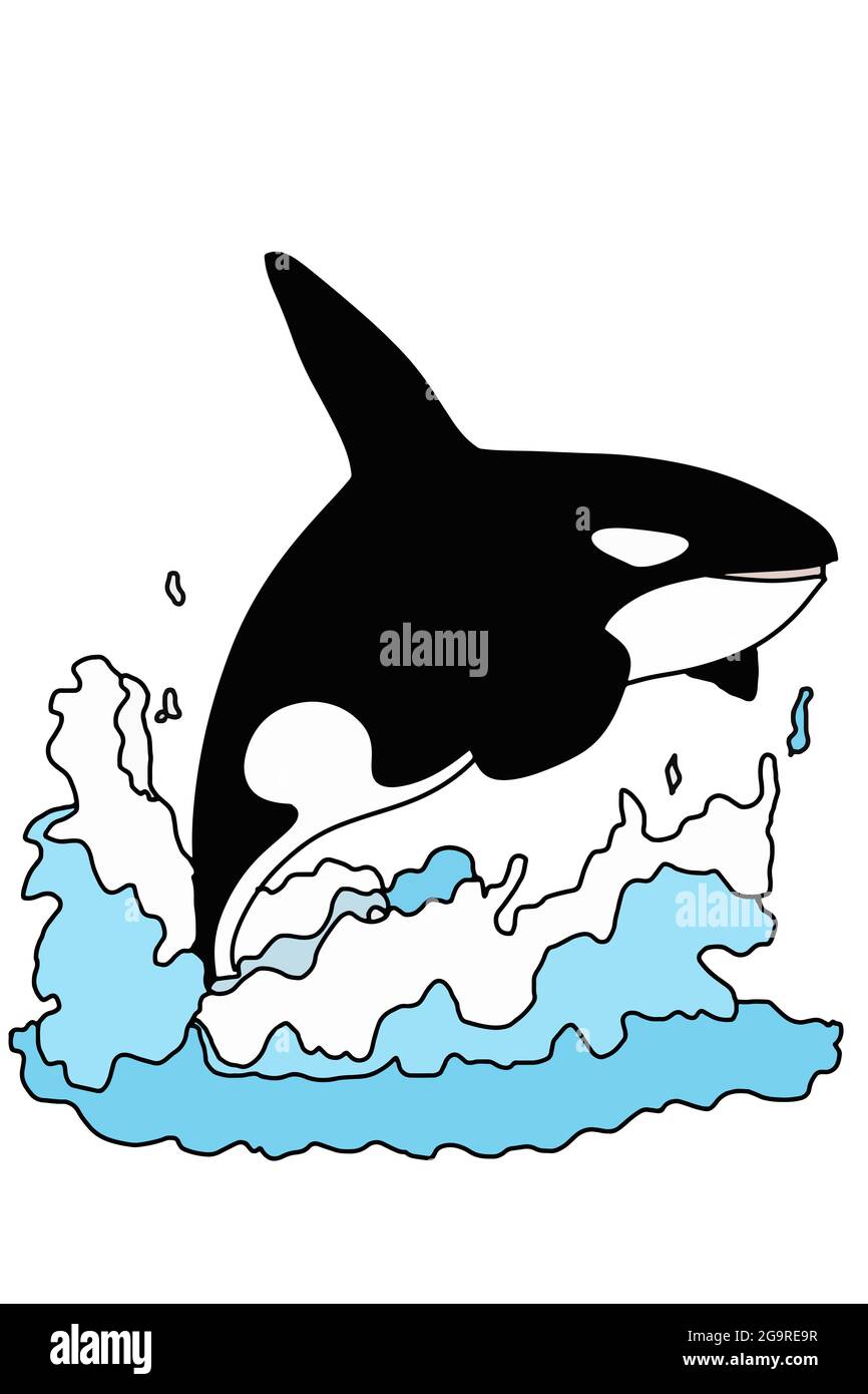 Cartoon Orca, Killerwal auf der Welle springen, Illustration Zeichnung. Stockfoto