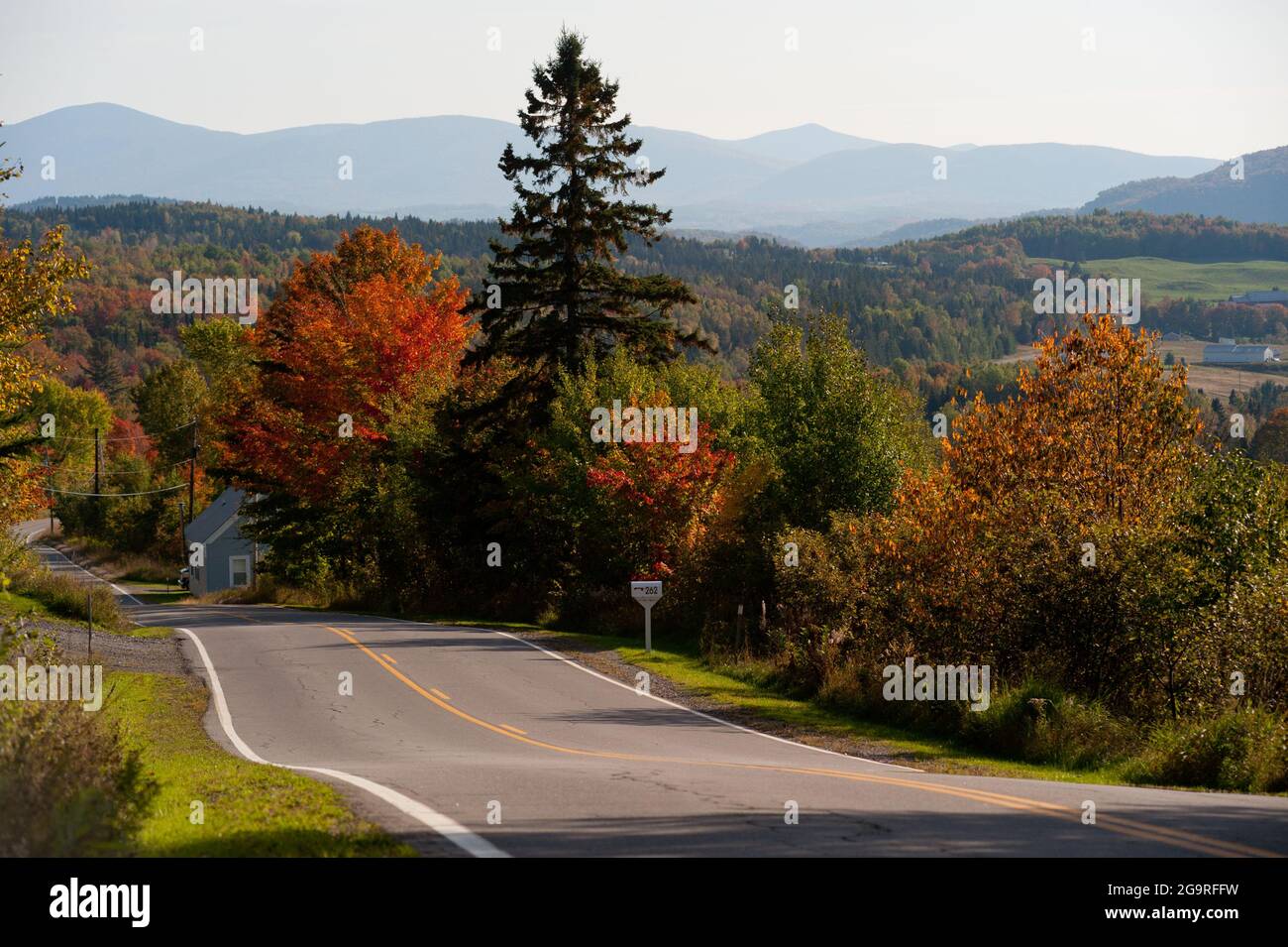 Blick auf das Herbstlaub von der Route 145, Clarksville, New Hampshire, USA Stockfoto