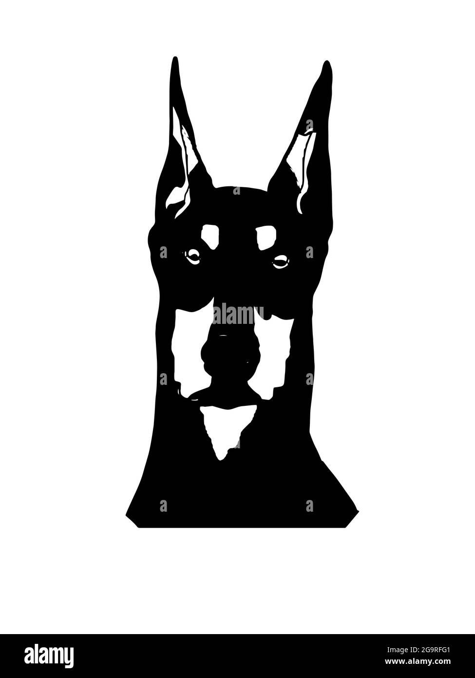 Dobermann, Pinscher, realistischer Kopf, Zeichnung, isoliert.Schwarz weiße Farben. Stockfoto