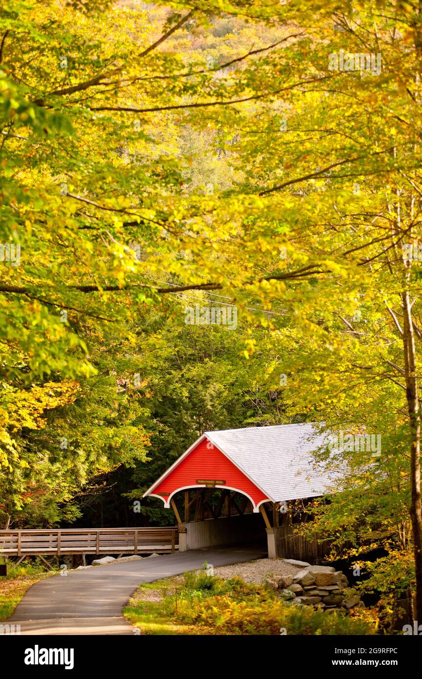 Covered Bridge, Franconia Notch, Flume State Park, Franconia, New Hampshire, USA Stockfoto