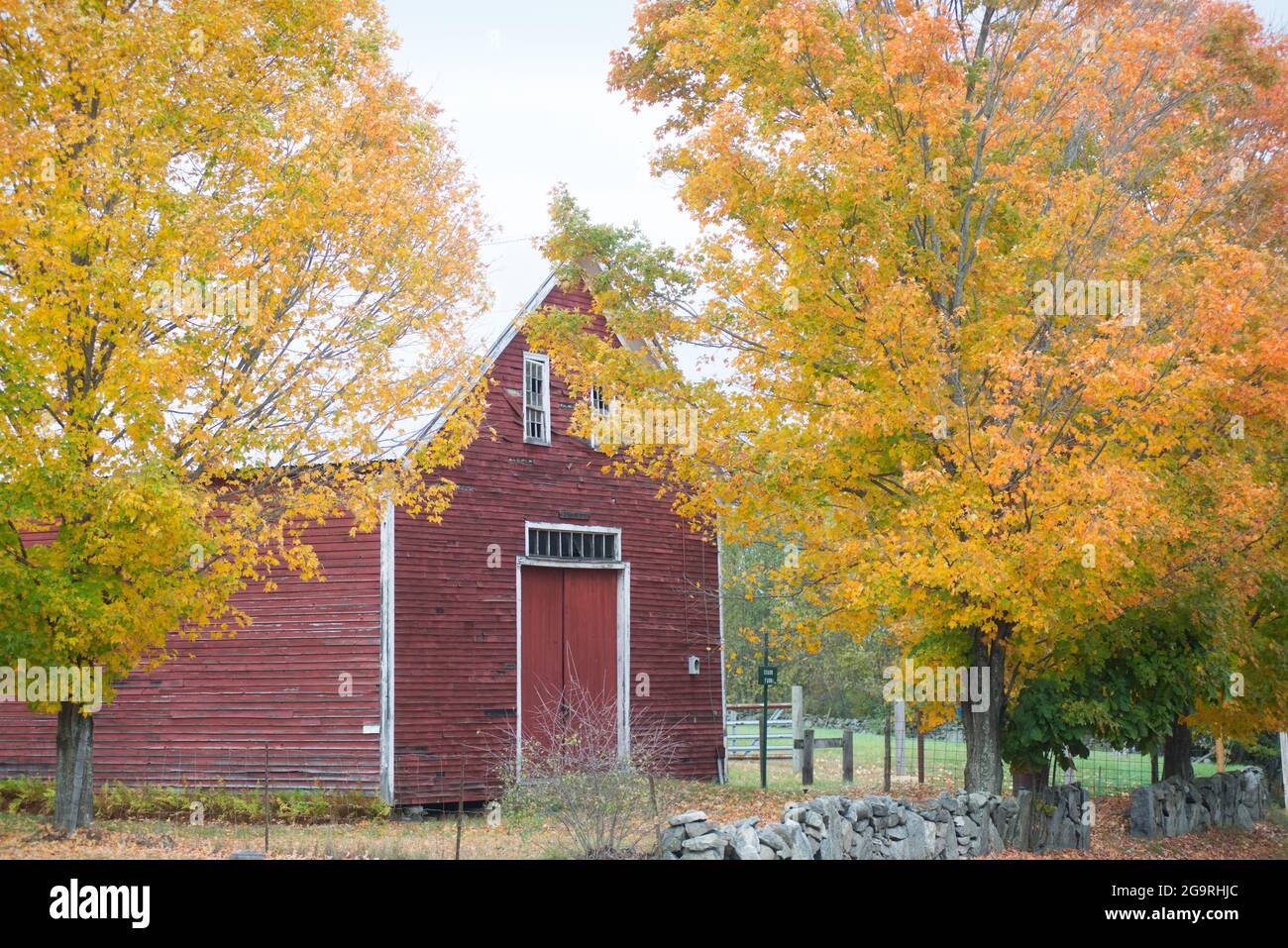 Fall Foliage, Candia, New Hampshire, USA Stockfoto