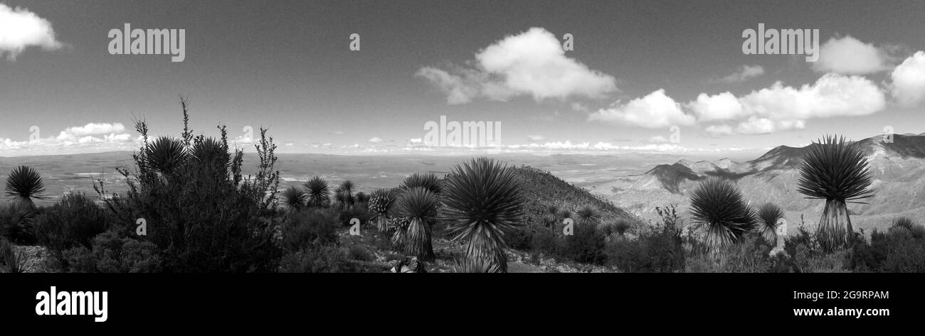Panoramablick vom Gipfel des Cerro Quemado (Huichol Sacred Mountain and Lands) im zentralen Hochland von Mexiko Stockfoto