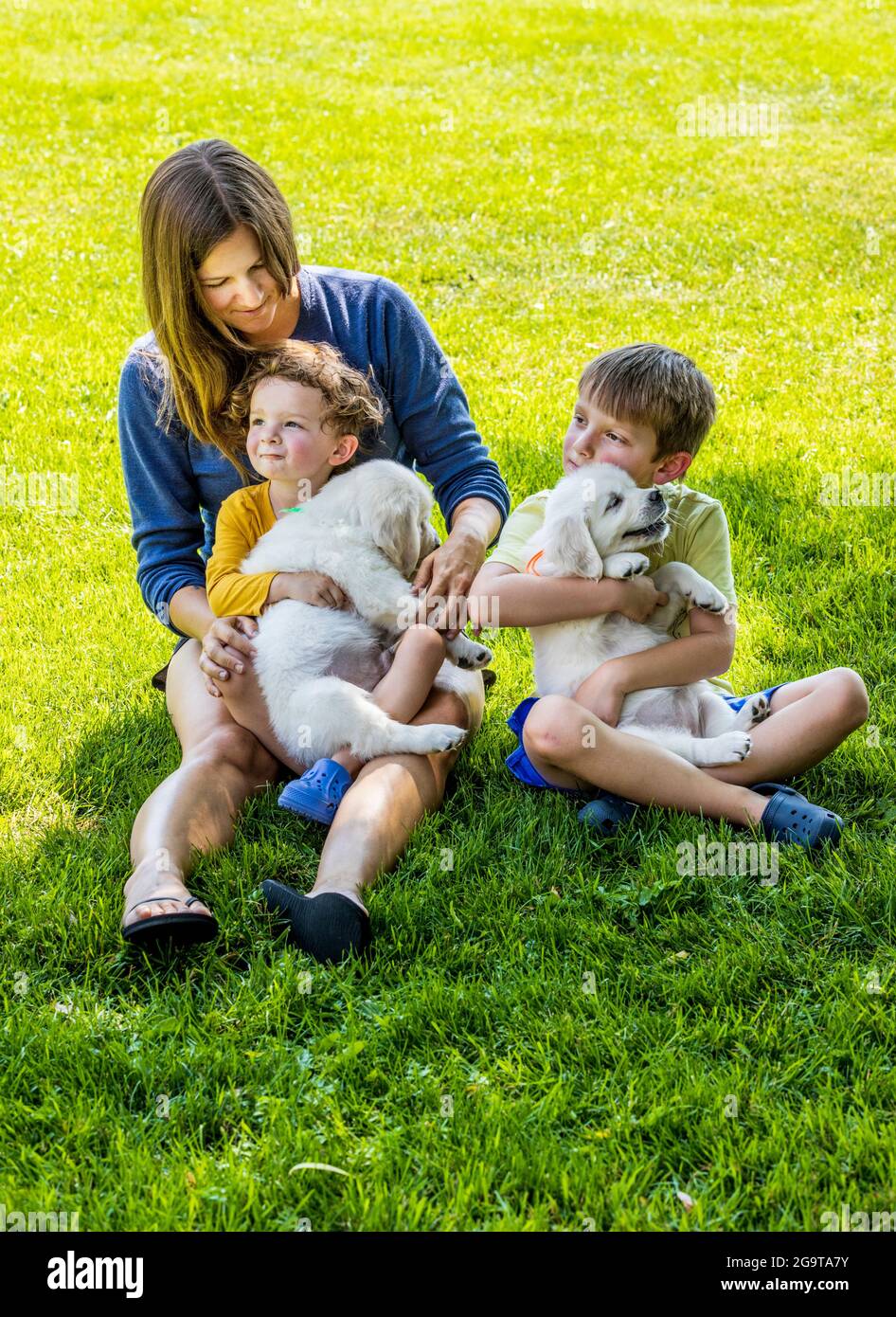 Mutter und kleine Kinder spielen auf Gras mit sechs Wochen alten Platinum oder Cream Colored Golden Retriever Welpen. Stockfoto