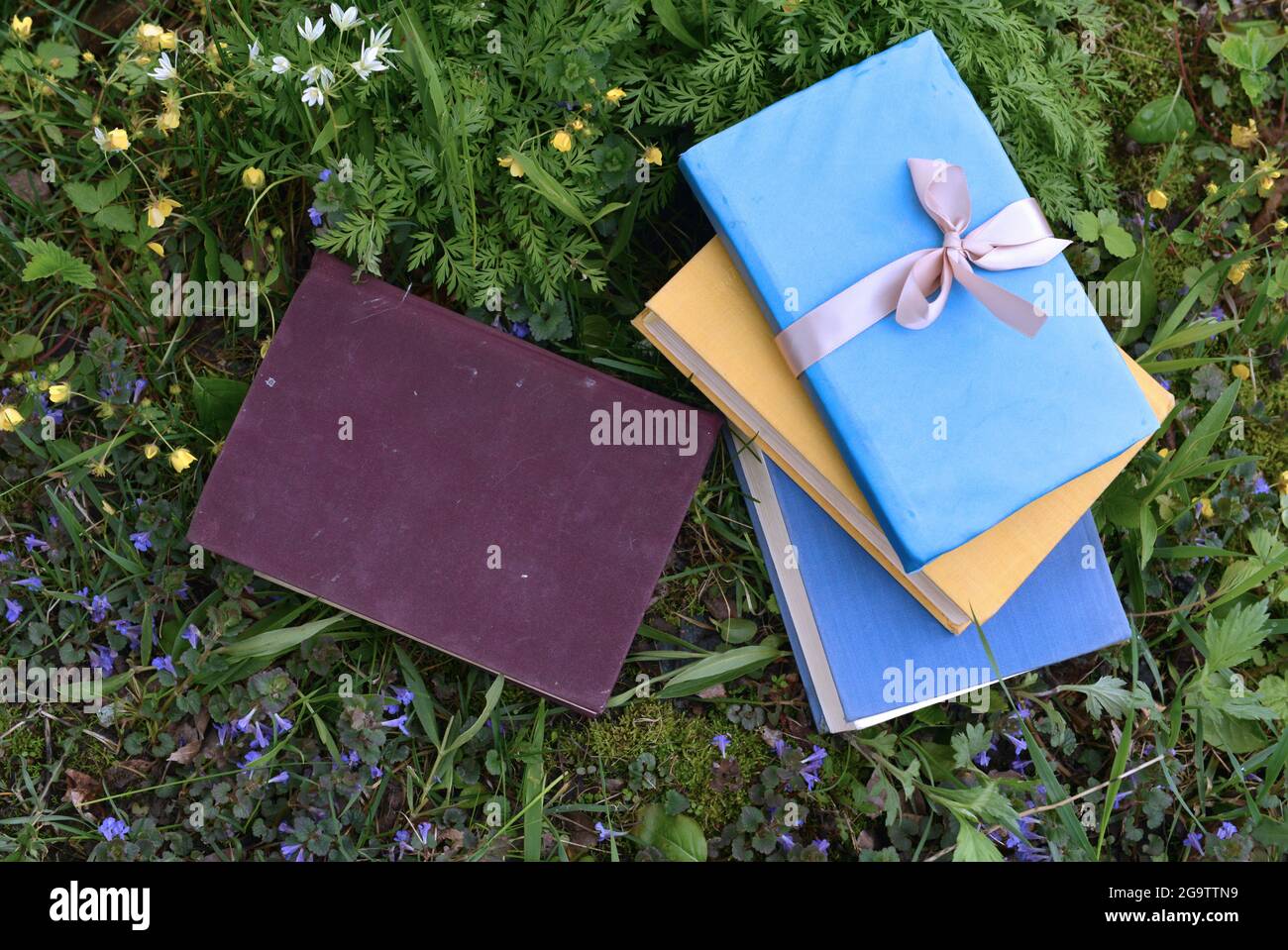 Dekoriert alte Bücher mit bunten Abdeckungen liegen auf grünem Rasen draußen. Vintage romantisches und pädagogisches Konzept Stockfoto