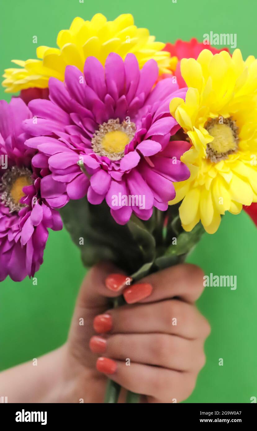 bunten Blumen Stockfoto
