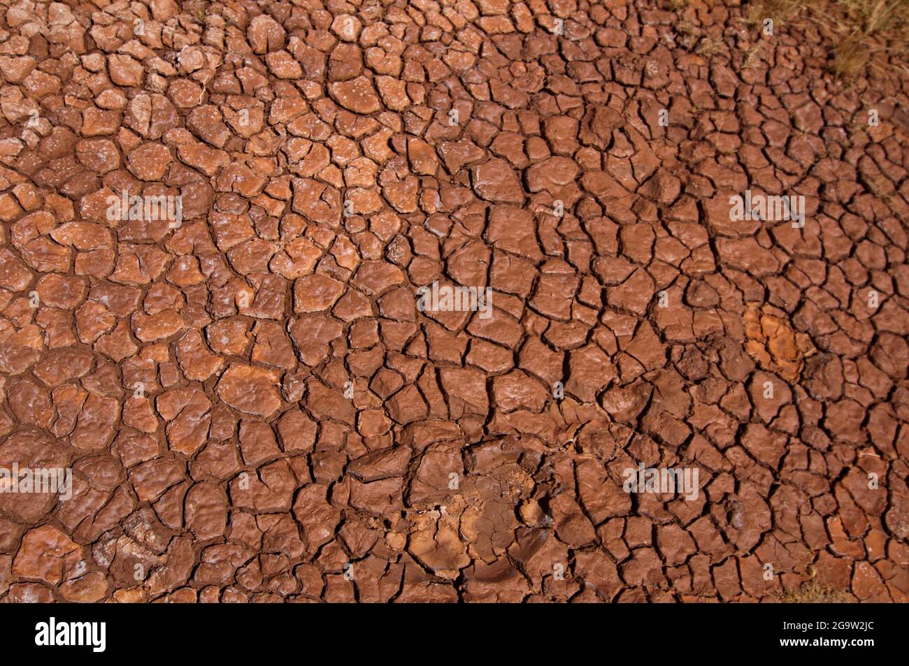 Quebrada de las Conchas: Trockene, verlassene Erde (Salta, Argentinien) Stockfoto