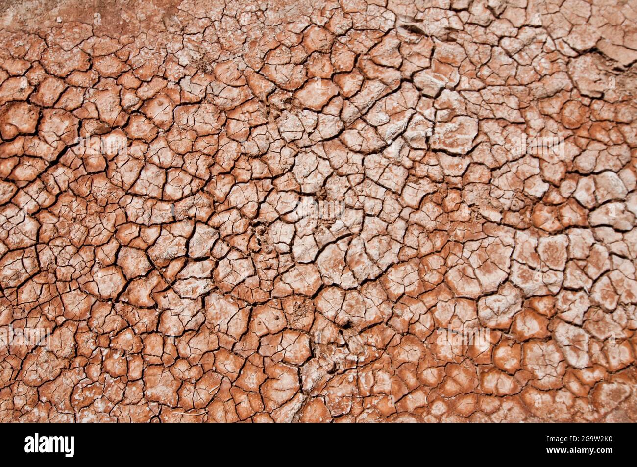 Quebrada de las Conchas: Trockene, verlassene Erde (Salta, Argentinien) Stockfoto