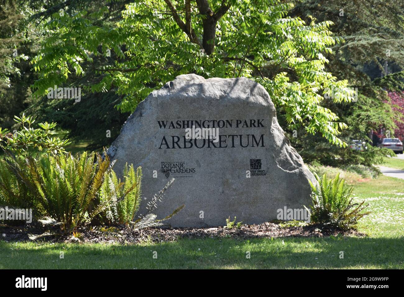 Washington Park Arboretum, Seattle, Washington Stockfoto