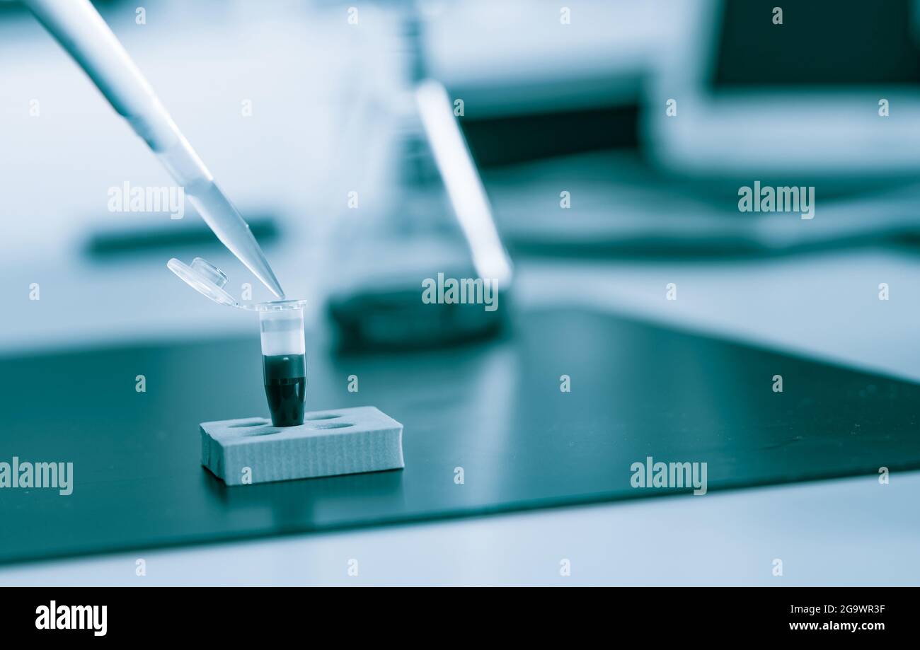 PCR-Streifen Reagenzgläsern und Mikropipette in Genetik Labor. Getönten Foto Stockfoto